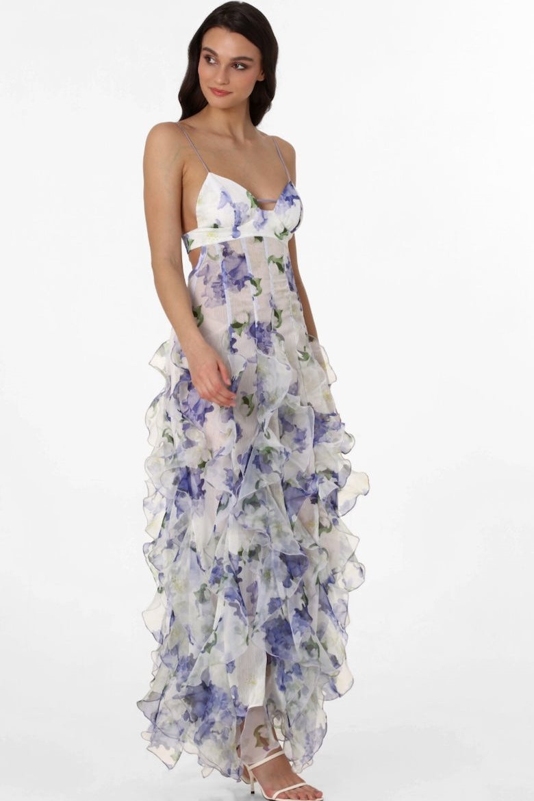 Alexia Fırfırlı Şeffaf Uzun Elbise